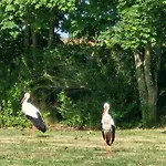 15 Vogelnest - Hof Wiesengrund *
