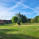15 Vogelnest - Hof Wiesengrund Parchtitz
