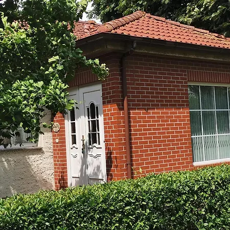 דירה 15 Vogelnest - Hof Wiesengrund Parchtitz