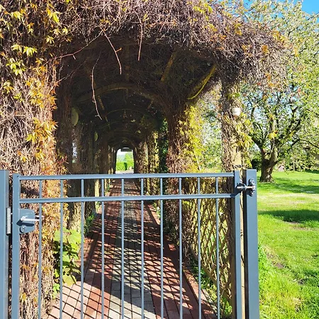 דירה 15 Vogelnest - Hof Wiesengrund