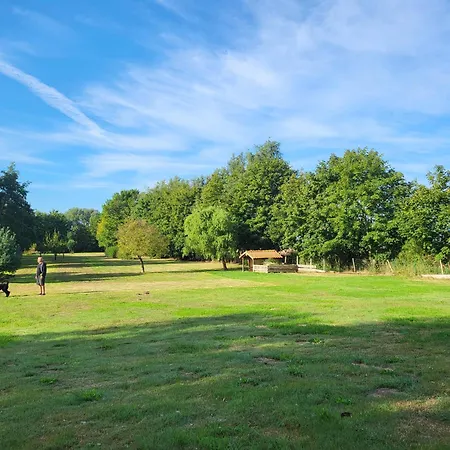 15 Vogelnest - Hof Wiesengrund Parchtitz
