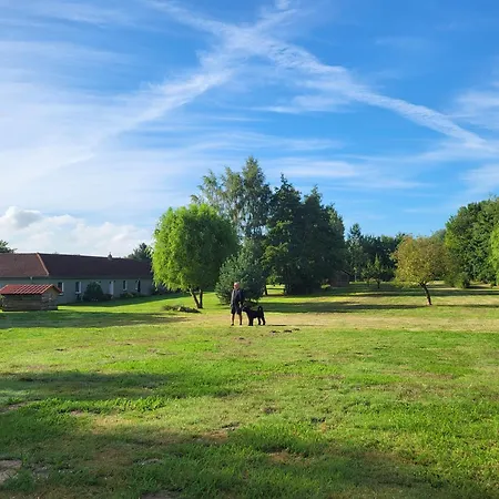 15 Vogelnest - Hof Wiesengrund Parchtitz